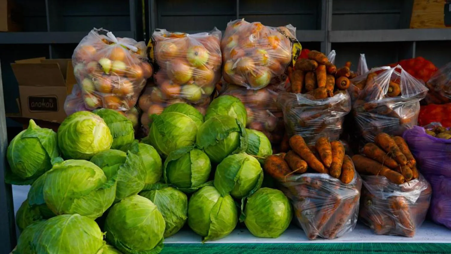 На выходные в столице представят продукцию Павлодарской и Абайской области