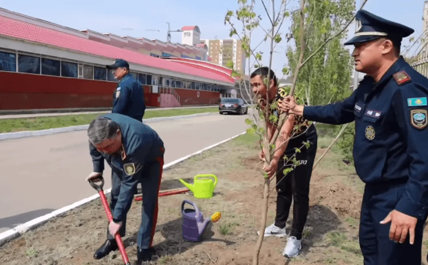 В столичном ДЧС посадили деревья