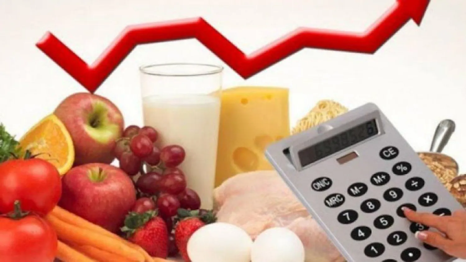 Единую базу данных о ценах на продукты питания запустили в Казахстане