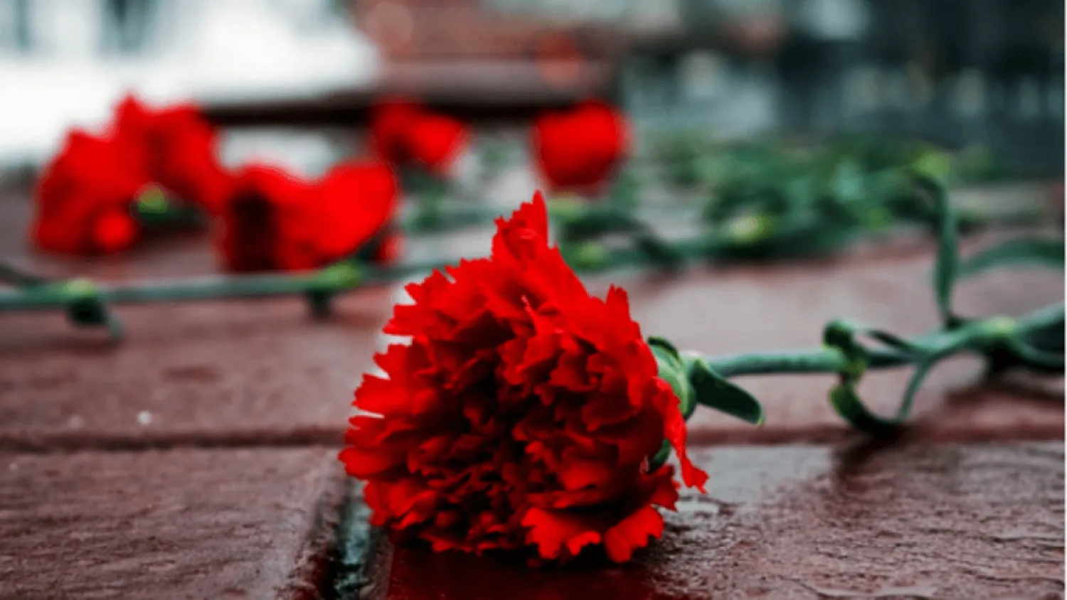 31 мая — День памяти жертв политических репрессий и голода