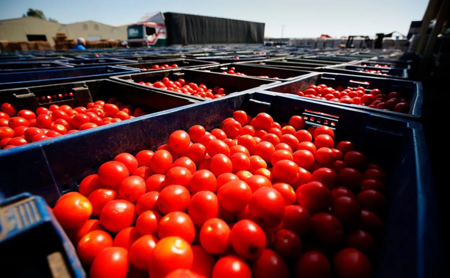 Казахстан вернул странам-экспортерам более 8 тысяч тонн продукции