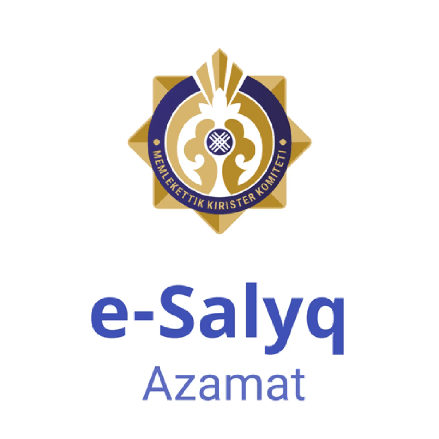 Порядка 370 тысяч казахстанцев пользуются приложением E-Salyq Azamat — Комитет госдоходов