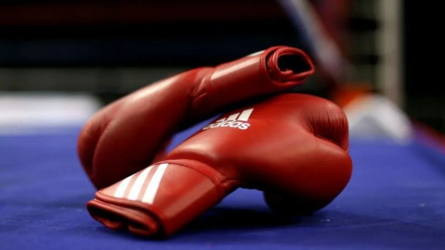 Казахстанские боксеры завоевали титулы WBO и WBC