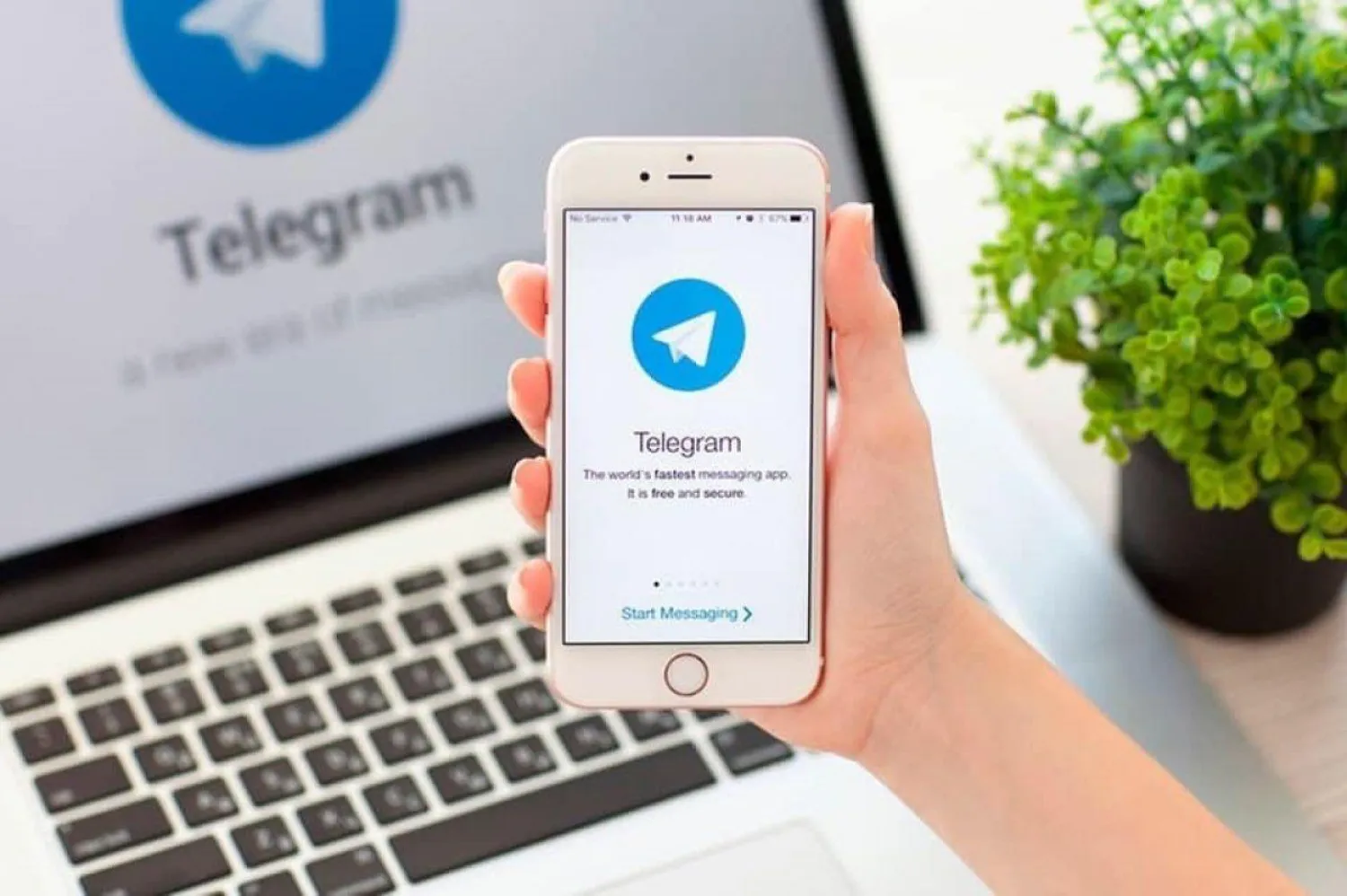 Запущен Telegram-бот с инструкциями по получению услуг iQala