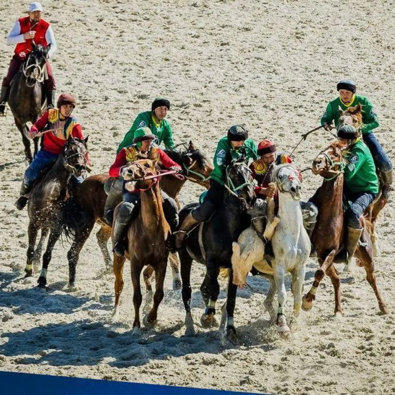 Чемпионаты страны по кокпару будут проходить в новом формате