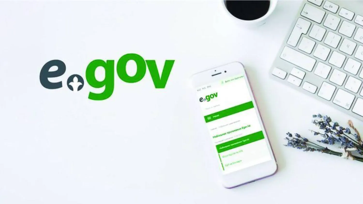 Новый сервис появился в eGov Mobile