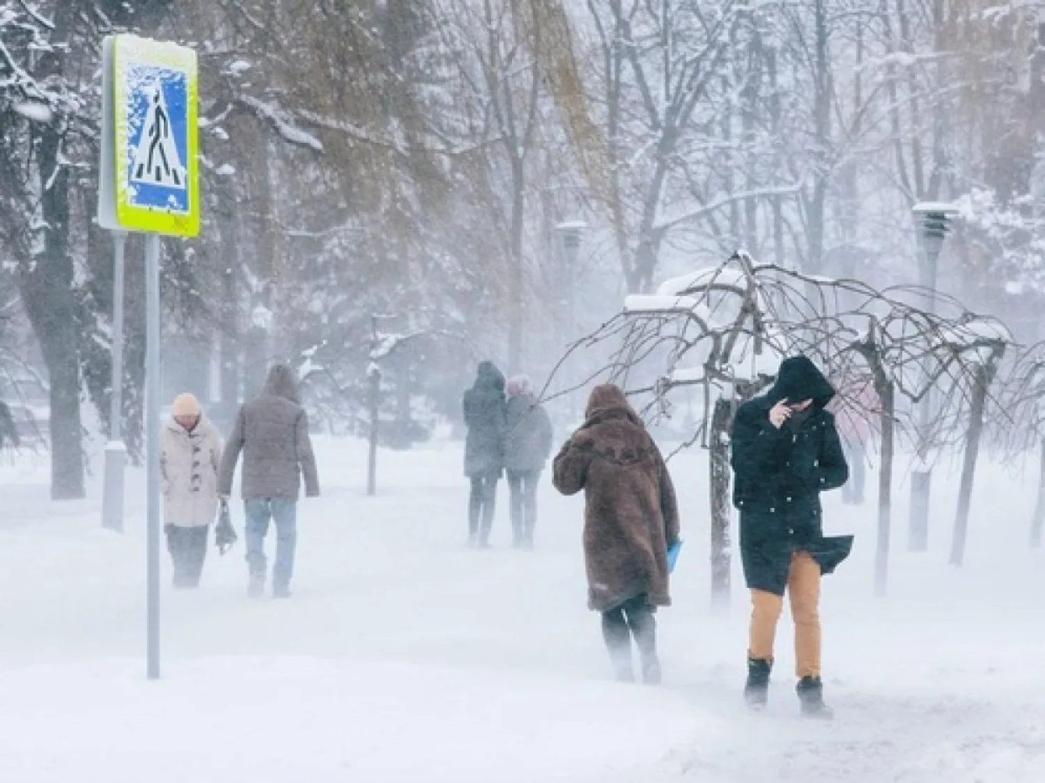 Туман и метель: прогноз погоды в Казахстане на 29 января