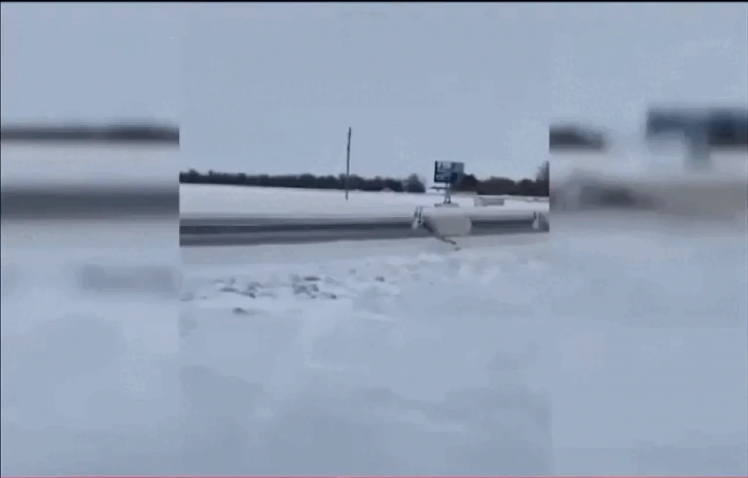 Сотни бегущих сайгаков засняли на видео в Улытауской области
