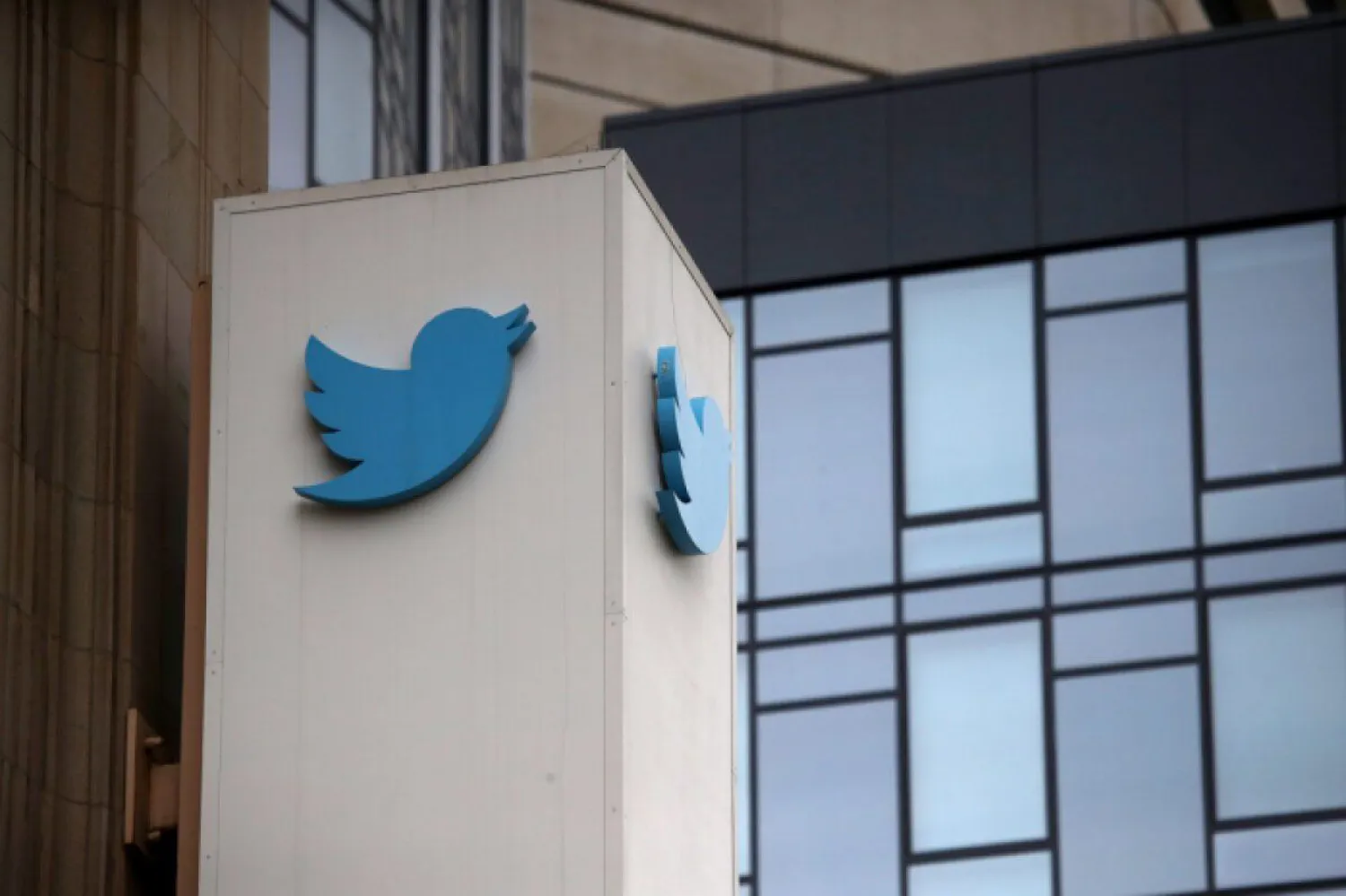 Илон Маск планирует уволить около половины сотрудников Twitter