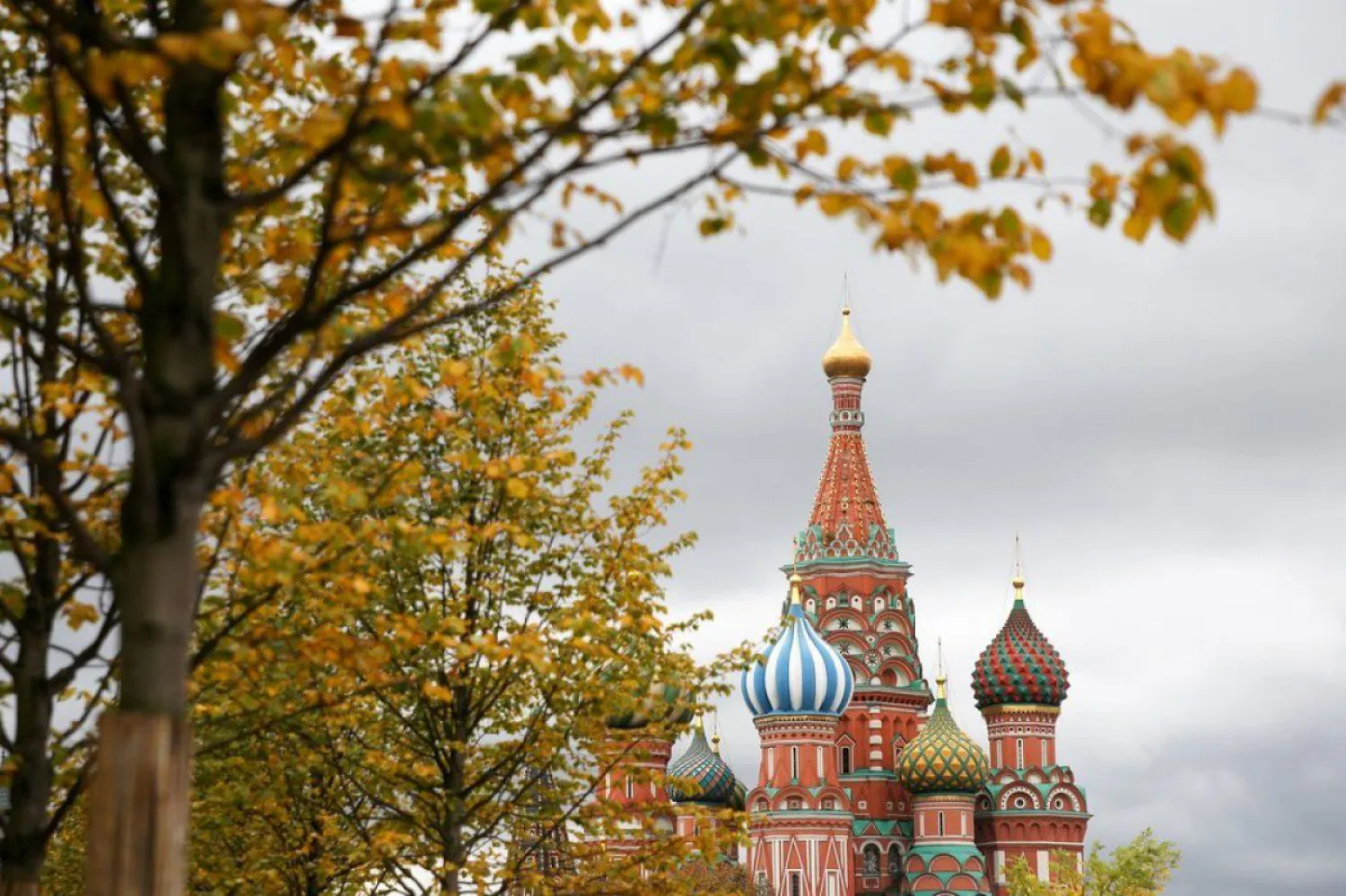 По прилету в Россию больше не нужно сдавать ПЦР на коронавирус