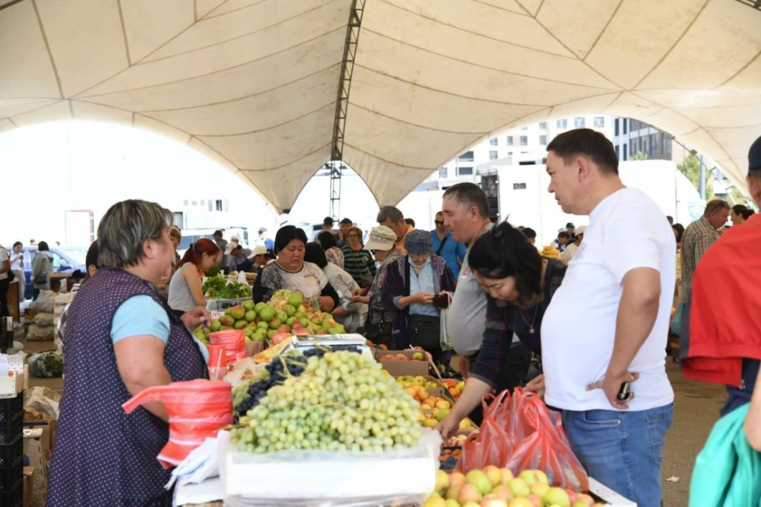 Более 500 тонн сельхозпродукции из Туркестанской области привезли в Нур-Султан