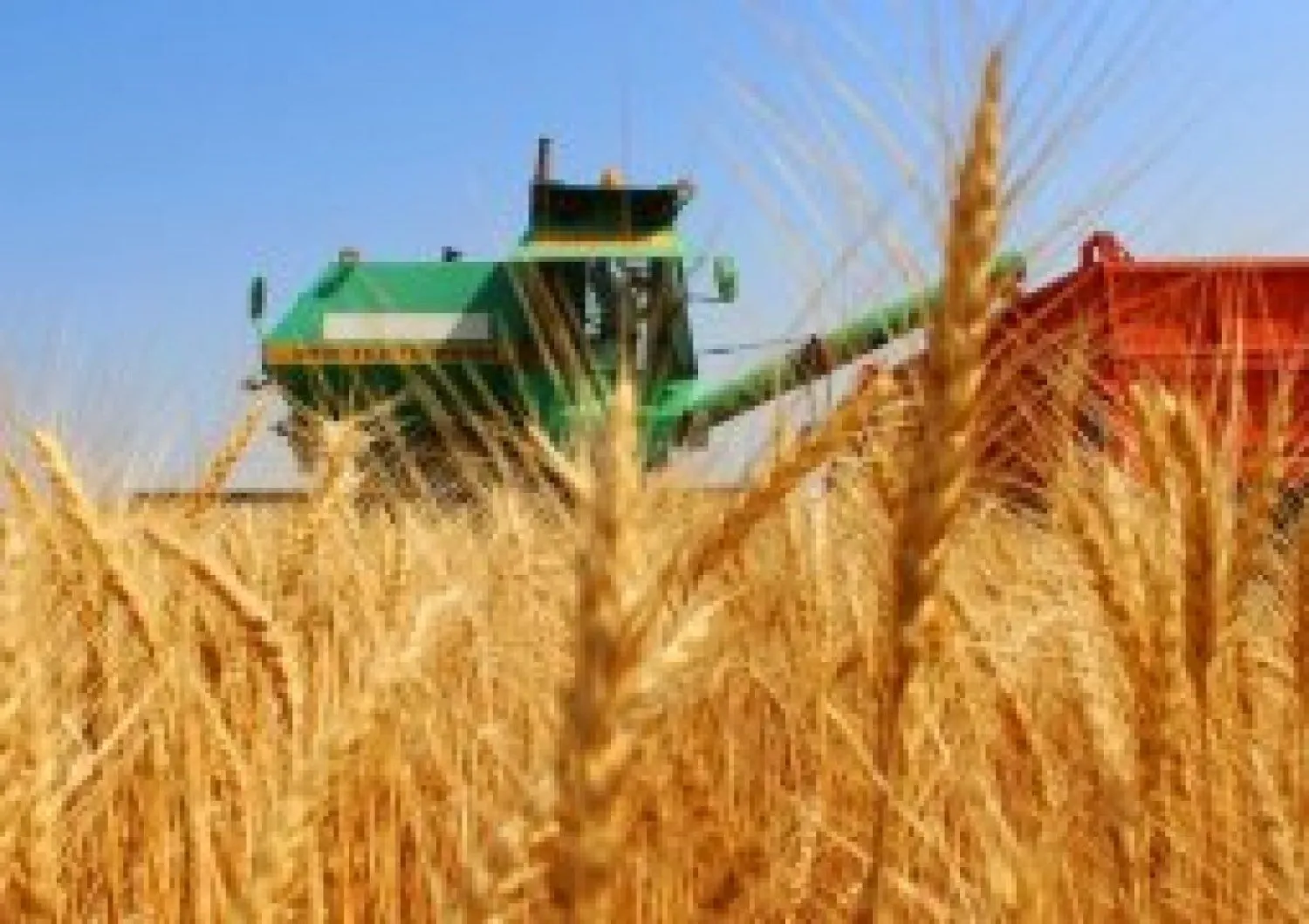 Как приложение Agrodata помогает фермерам