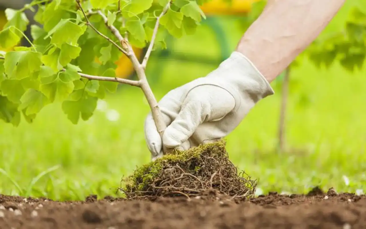 Чистота планеты начинается с нас: 'World Clean Up Day' пройдет в Казахстане