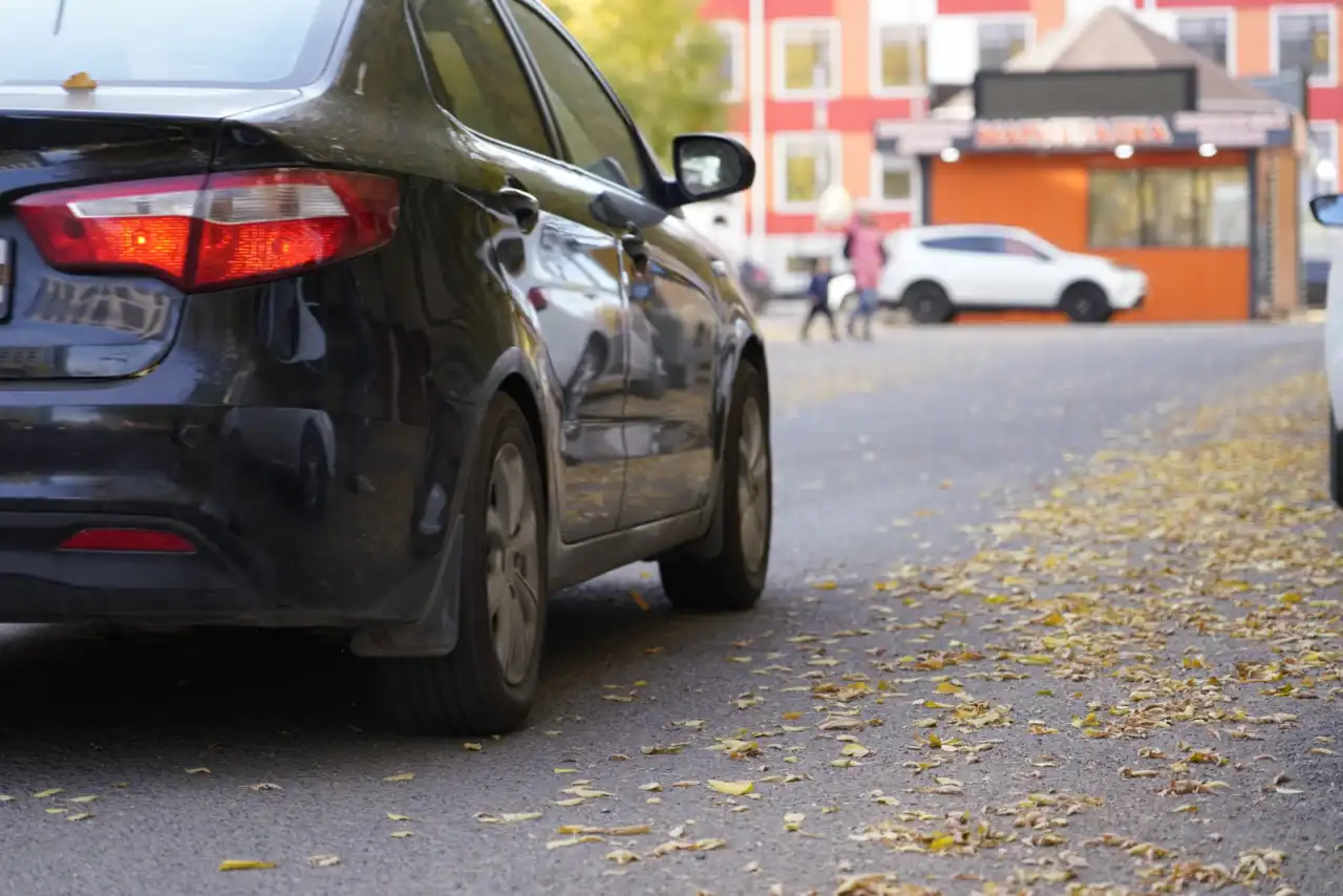 Сыновья подарили Розе Рымбаевой новый автомобиль