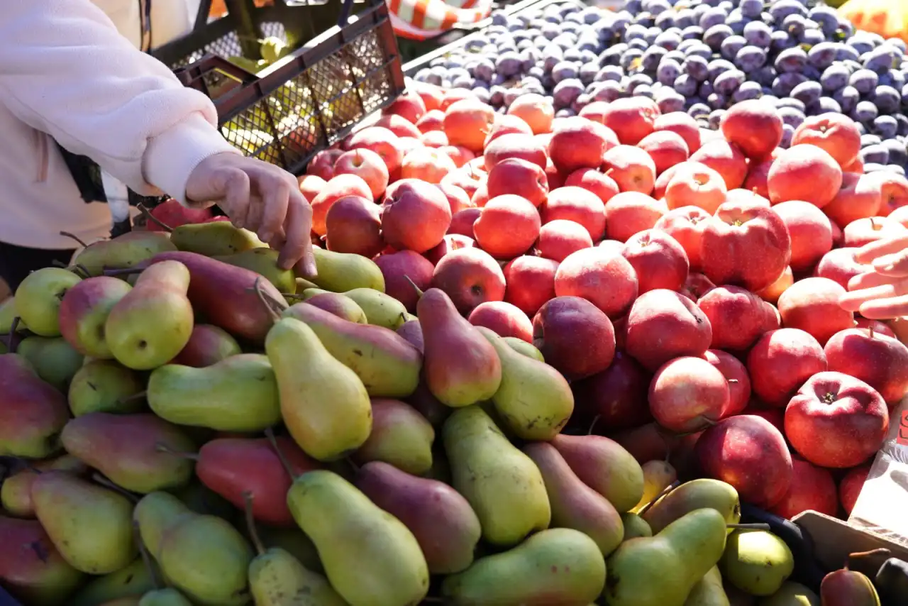 Три региона привезут свою продукцию на ярмарку в Астану