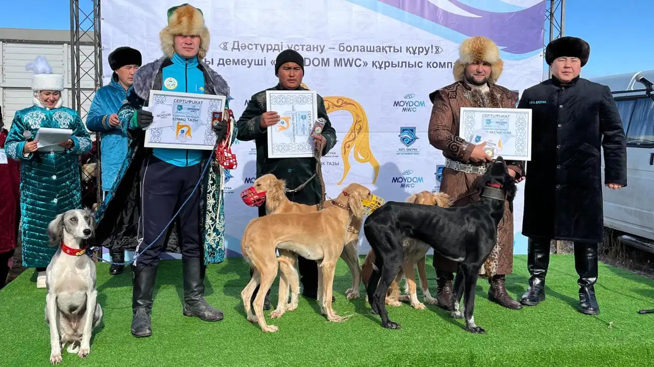 Самых быстрых и красивых тазы выбрали в Акмолинской области