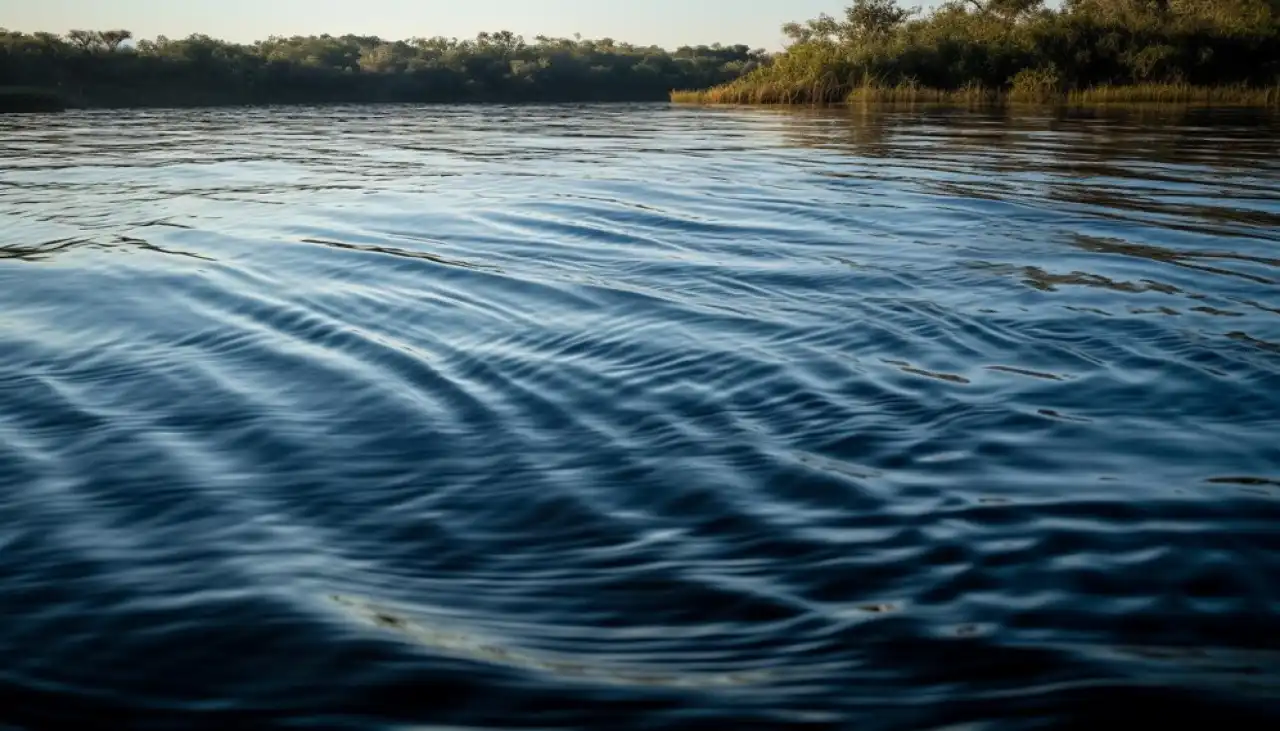 На 11 млрд кубометров воды пополнится бассейн реки Сырдарья в 2025 году