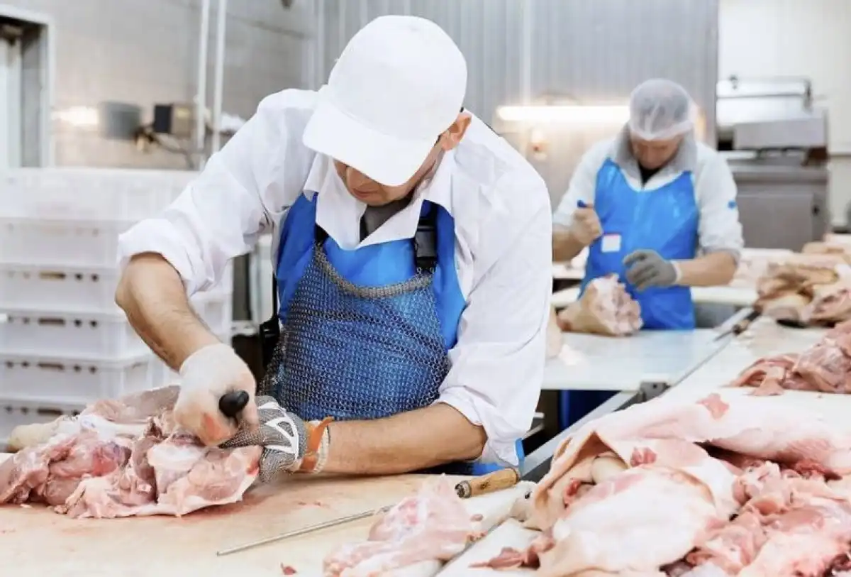 Производство мяса в Казахстане выросло на 2,8% в 2025 году