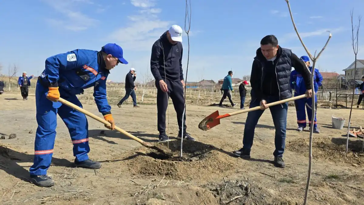 Около 2 млн казахстанцев приняли участие в президентской инициативе «Таза Қазақстан»