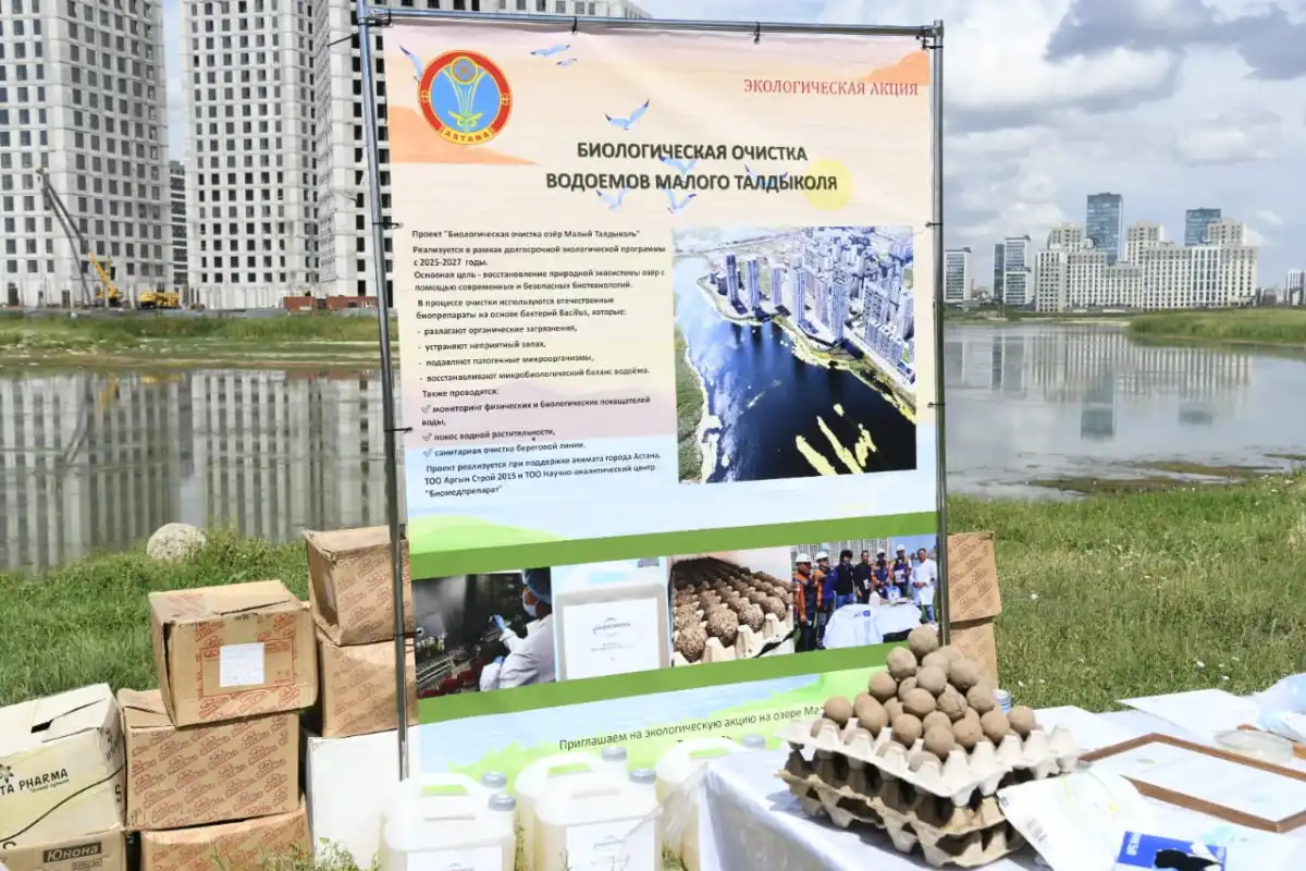 В Астане продолжается биологическая очистка Малого Талдыколя