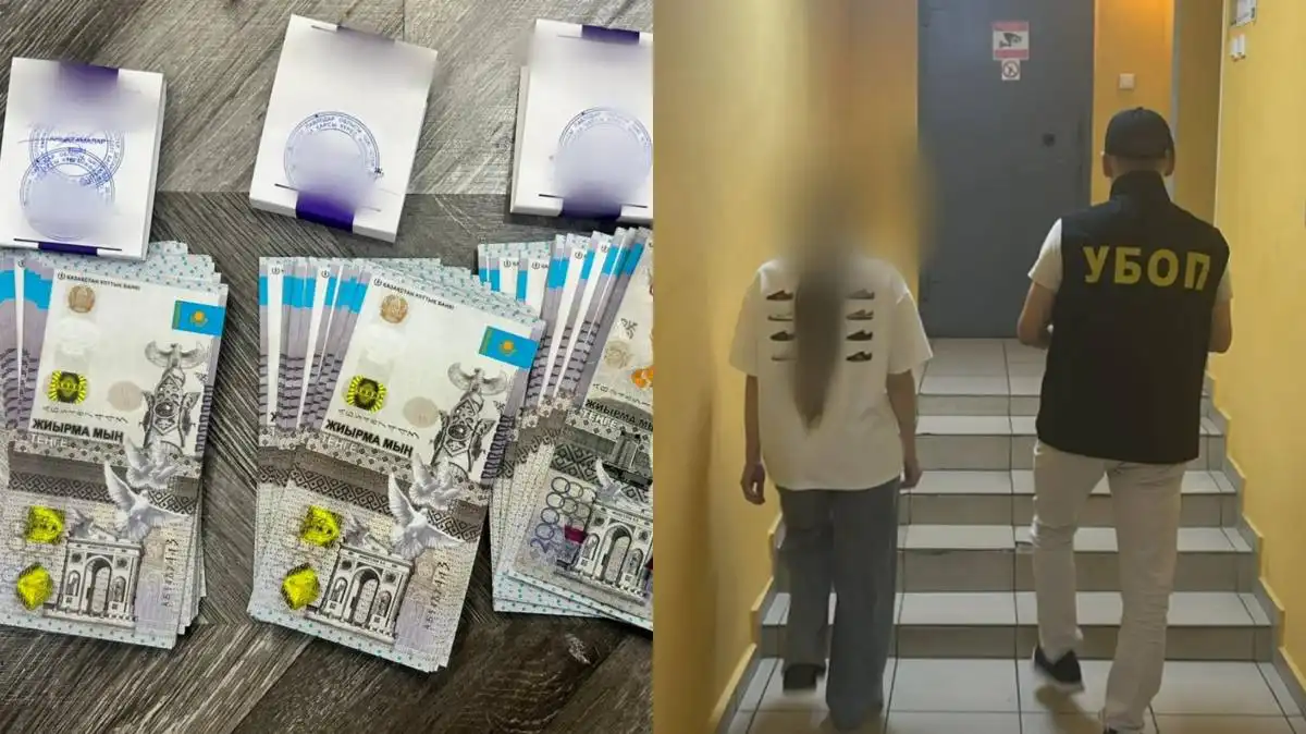 Иностранка пыталась продать почку в Павлодаре