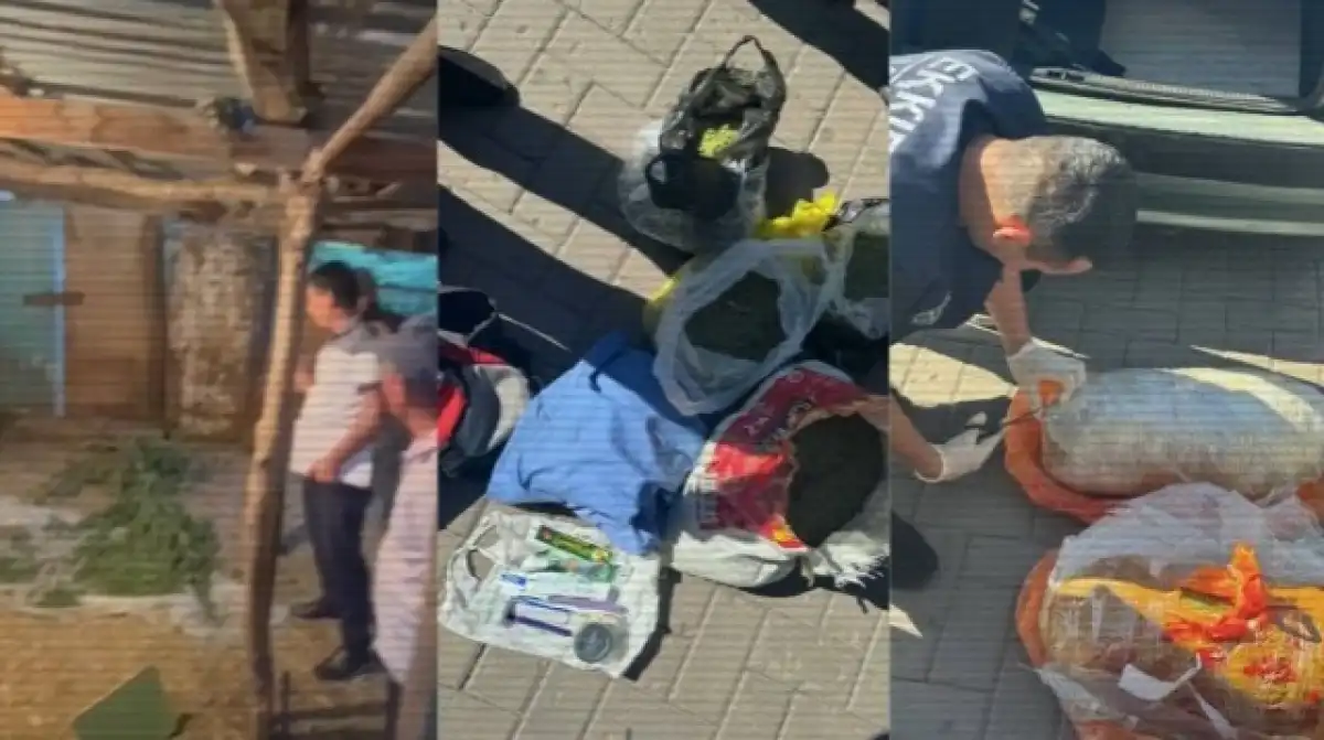 Более 11 тонн наркотиков изъято в Казахстане с начала года