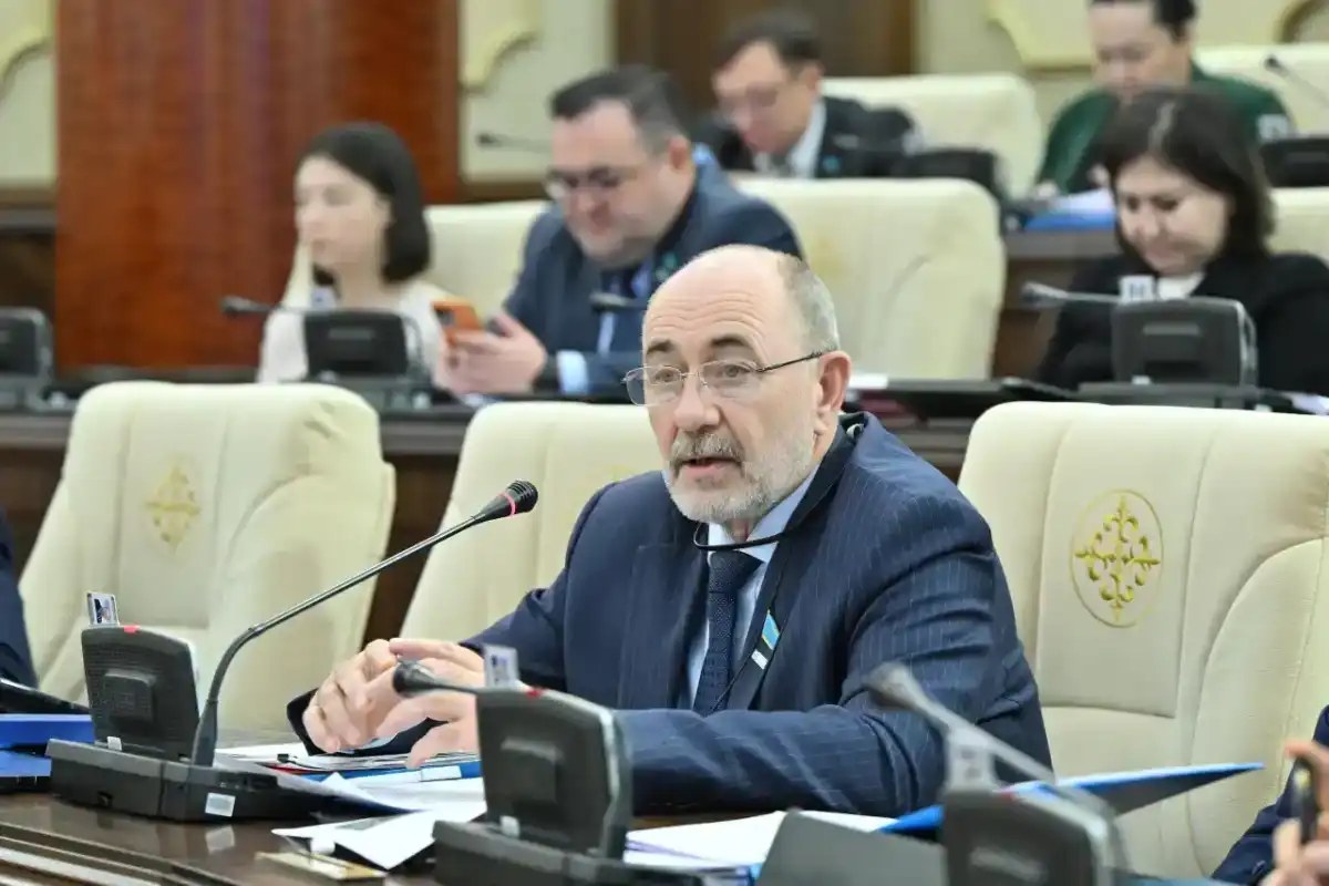 О последствиях обнуления пошлин на импорт мяса предупредил мажилисмен