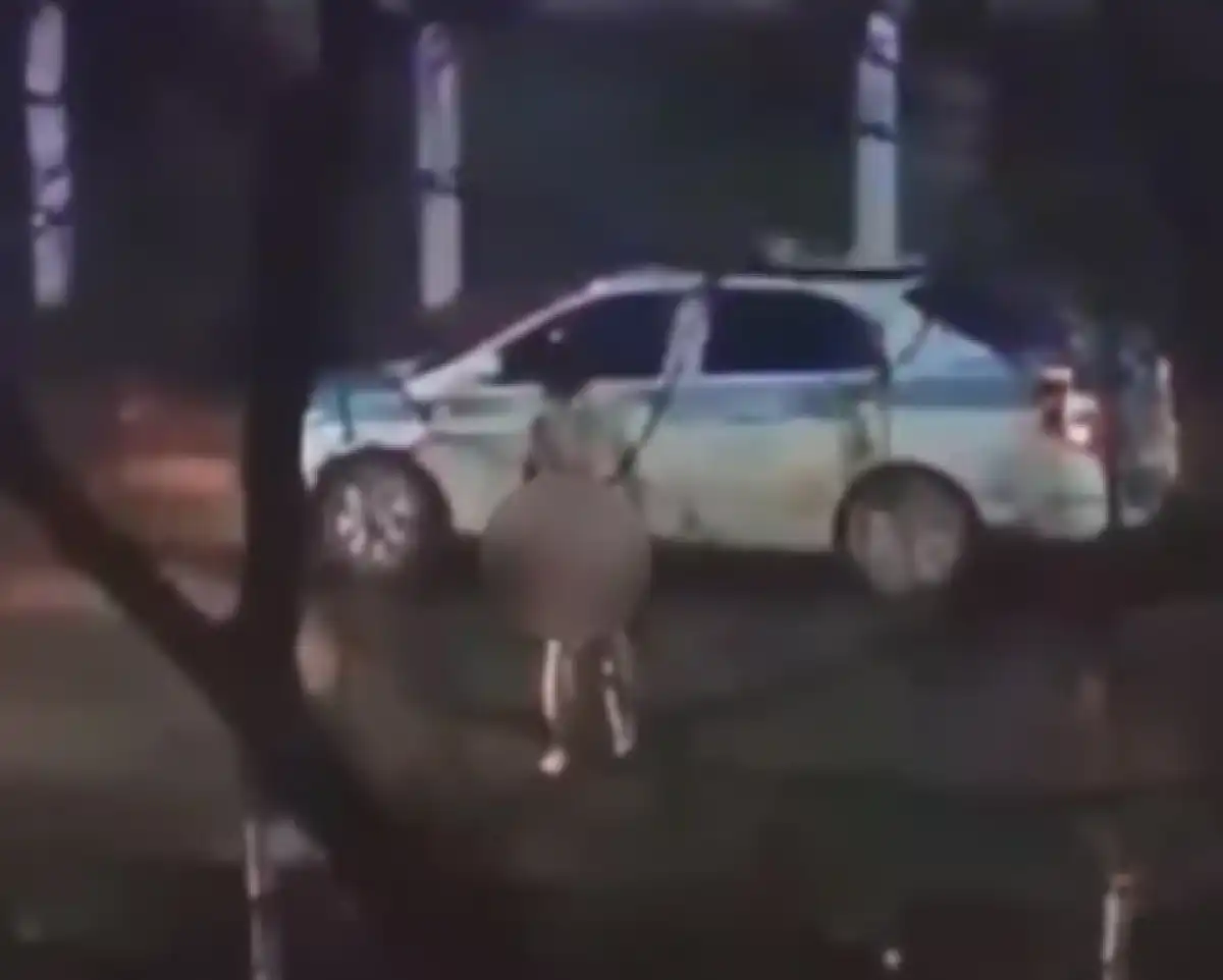 Мужчина устроил голый забег рядом со школой в Павлодаре – ВИДЕО