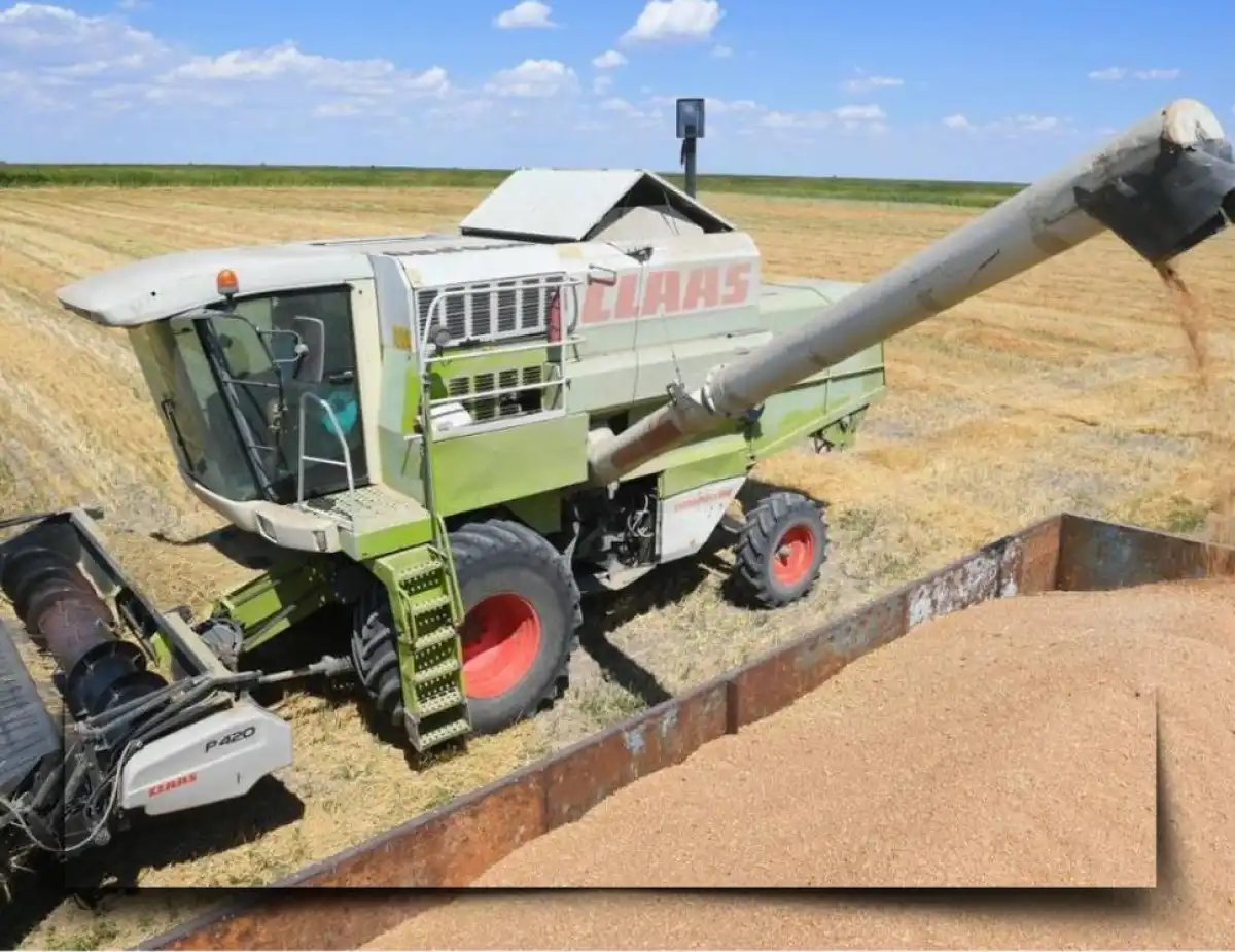 Какие страны появились на экспортной карте казахстанского зерна