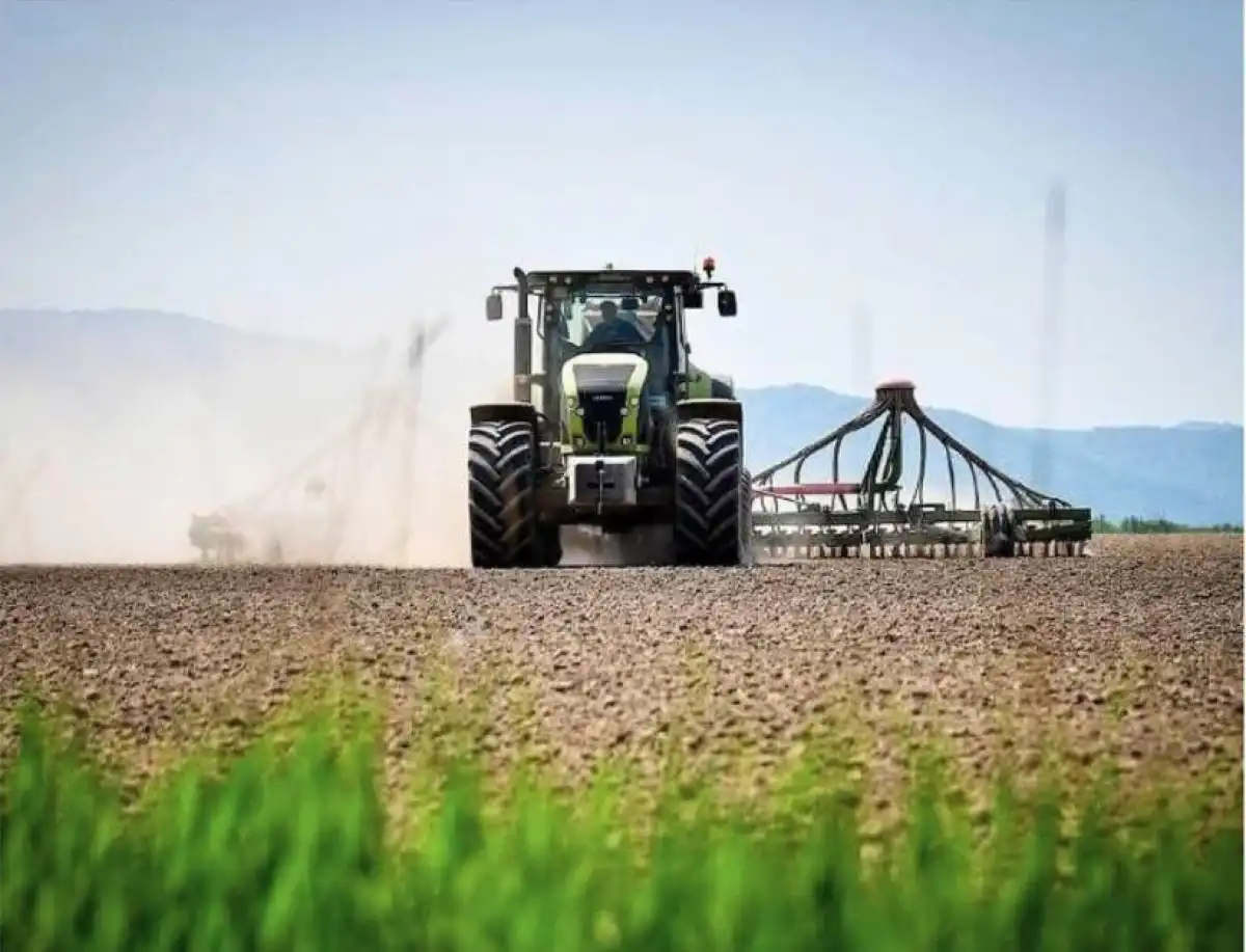 Контроль за диверсификацией посевных ужесточат в Казахстане