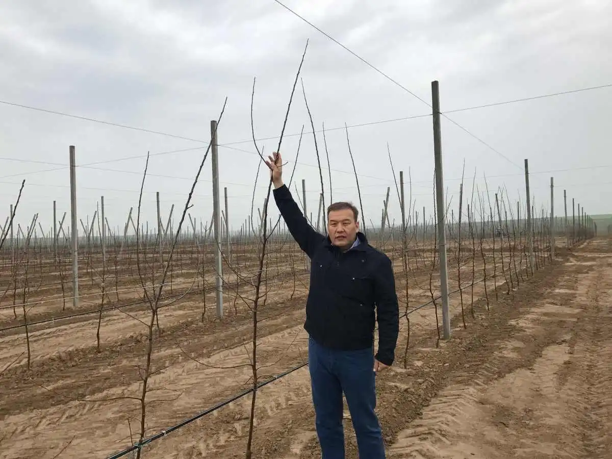 Казахстан движется в правильном направлении – депутат