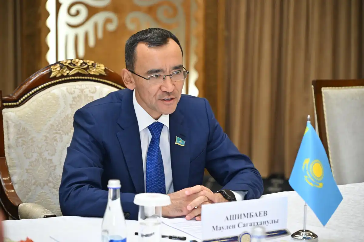 Спикер Сената: Цифровизация и внедрение ИИ обеспечат должный уровень развития нации