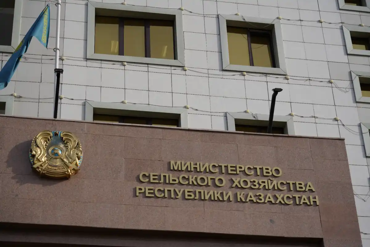 Казахстан ввел лимиты и запрет на вывоз скота