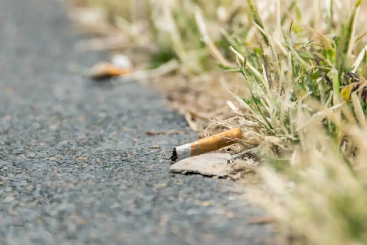 Жительница Атырау узнала цену одного брошенного окурка