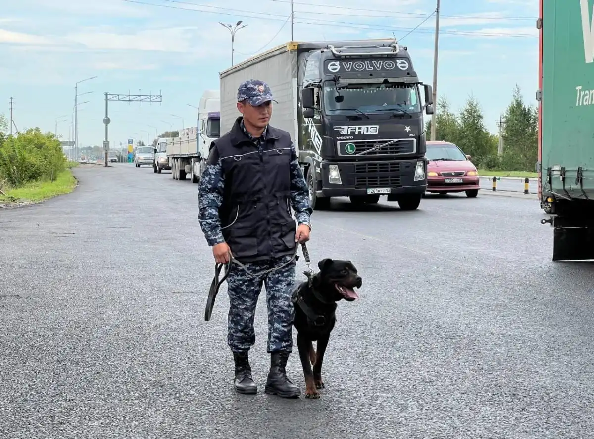Служебная собака помогла полицейским изъять гашиш на въезде в Астану