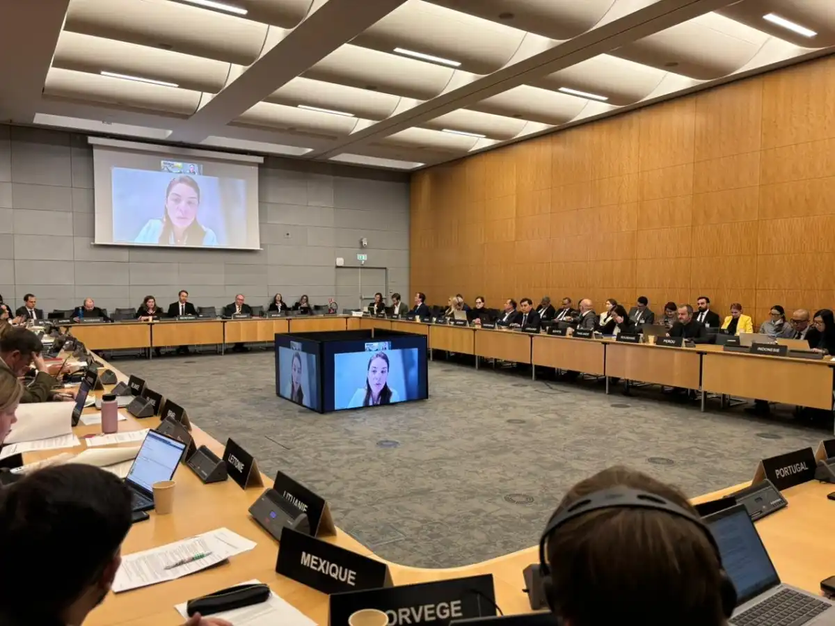 Казахстан представил результаты антикоррупционных реформ на площадке  ОЭСР