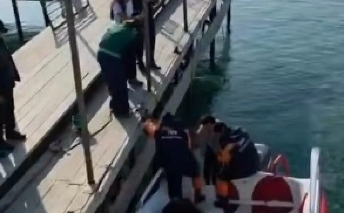 Женщина сорвалась с пирса в Каспийское море