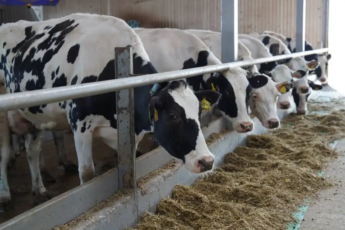 Удвоить объем валовой продукции сельского хозяйства поручил Глава государства