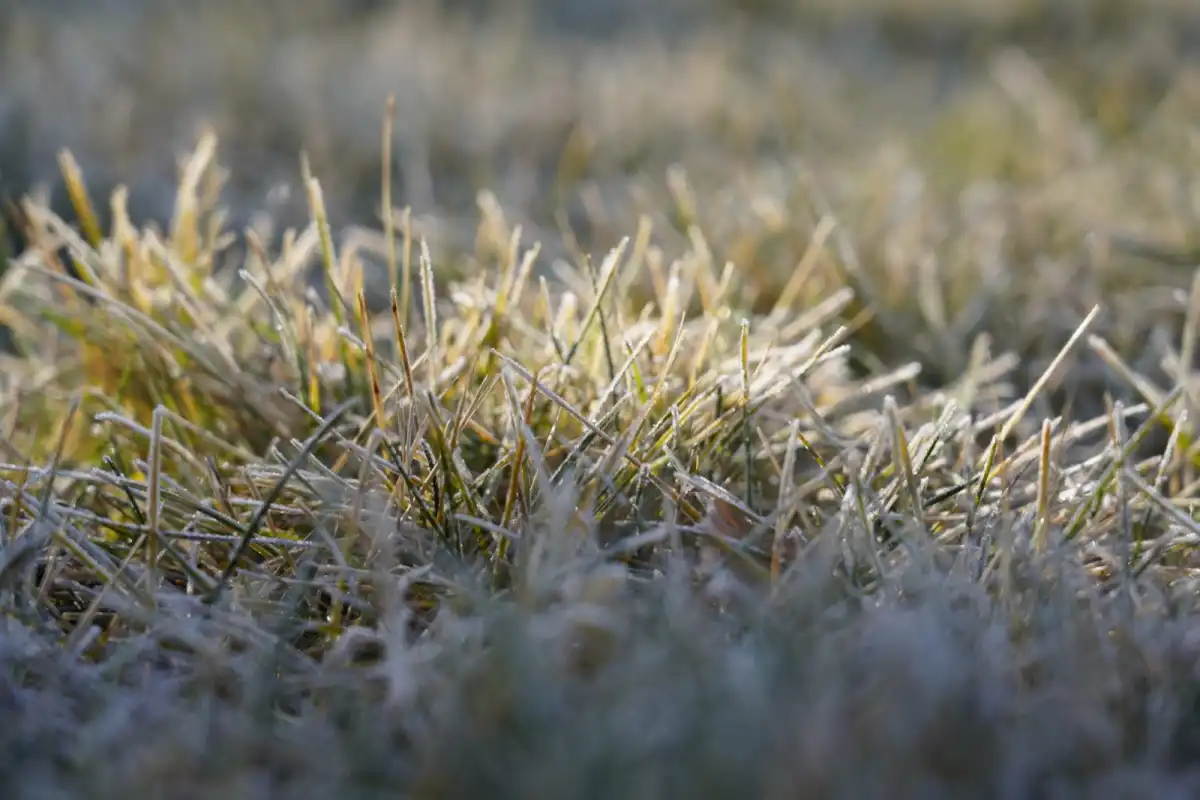 В Астане заметно потеплеет