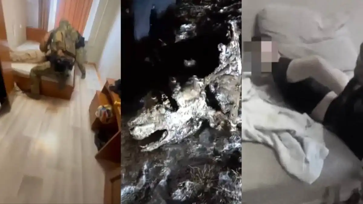 Преступная группа отстреливала скот в Улытау – ВИДЕО