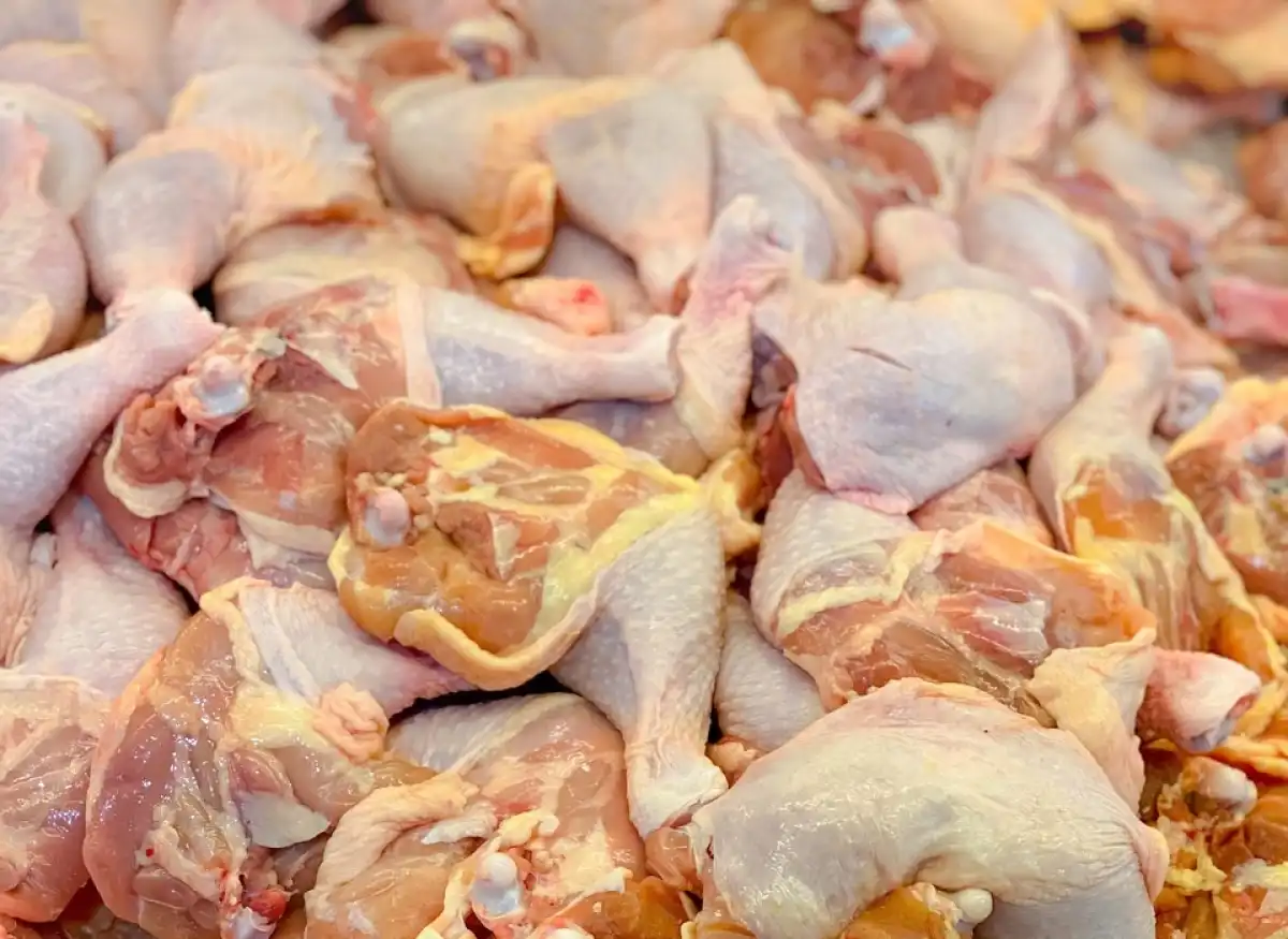 Казахстан возвратил в Россию тонны мяса птицы