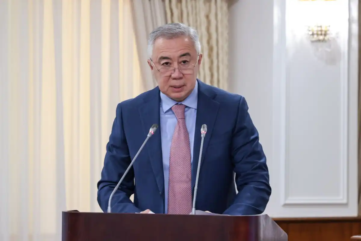 Крупным инвестпроектам в Казахстане гарантируют стабильность законов на 25 лет