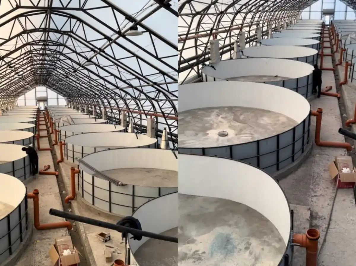 Рыбоводческий комплекс стоимостью 348 млн тенге построят в ВКО