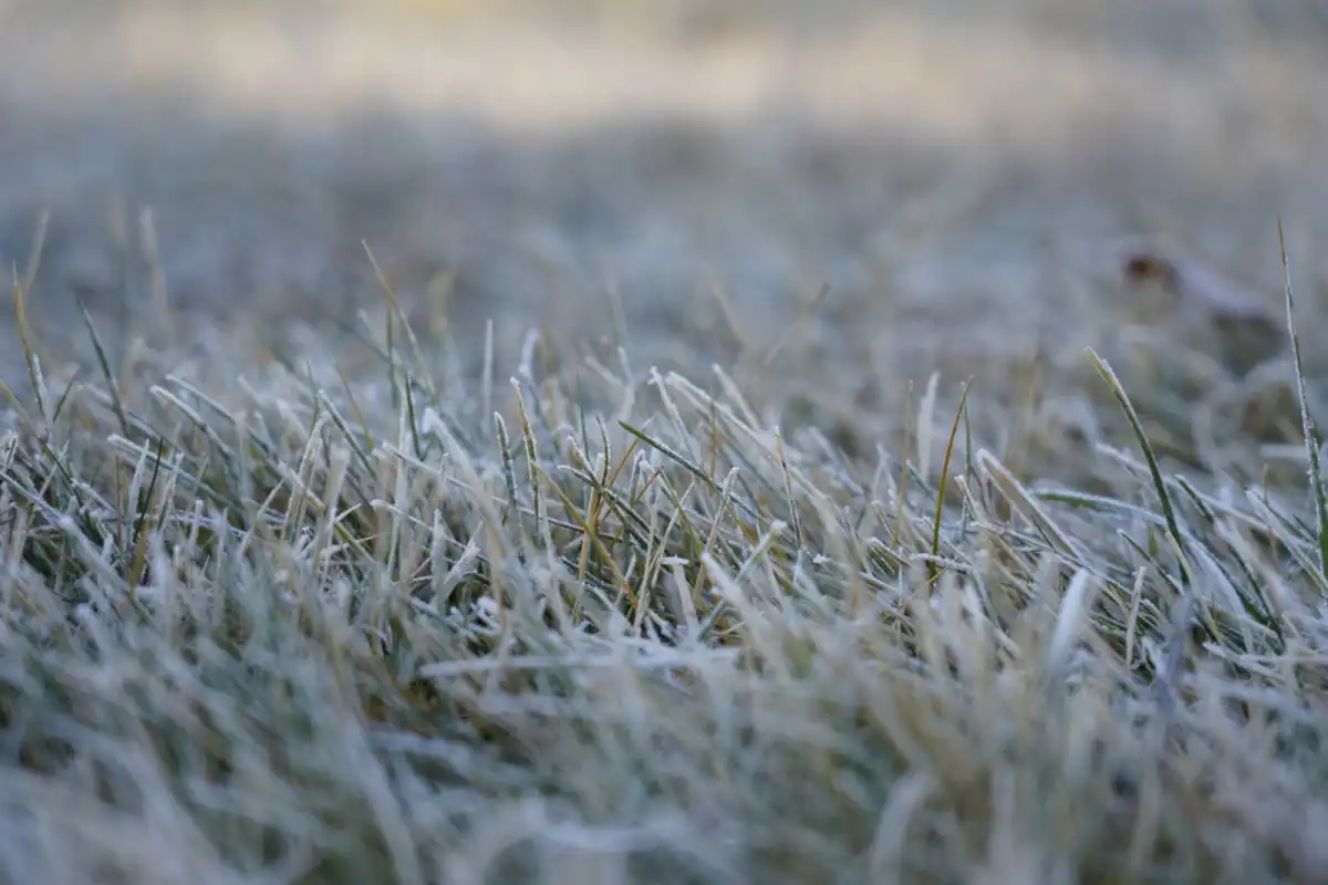 Снег с дождем прогнозируется в Астане
