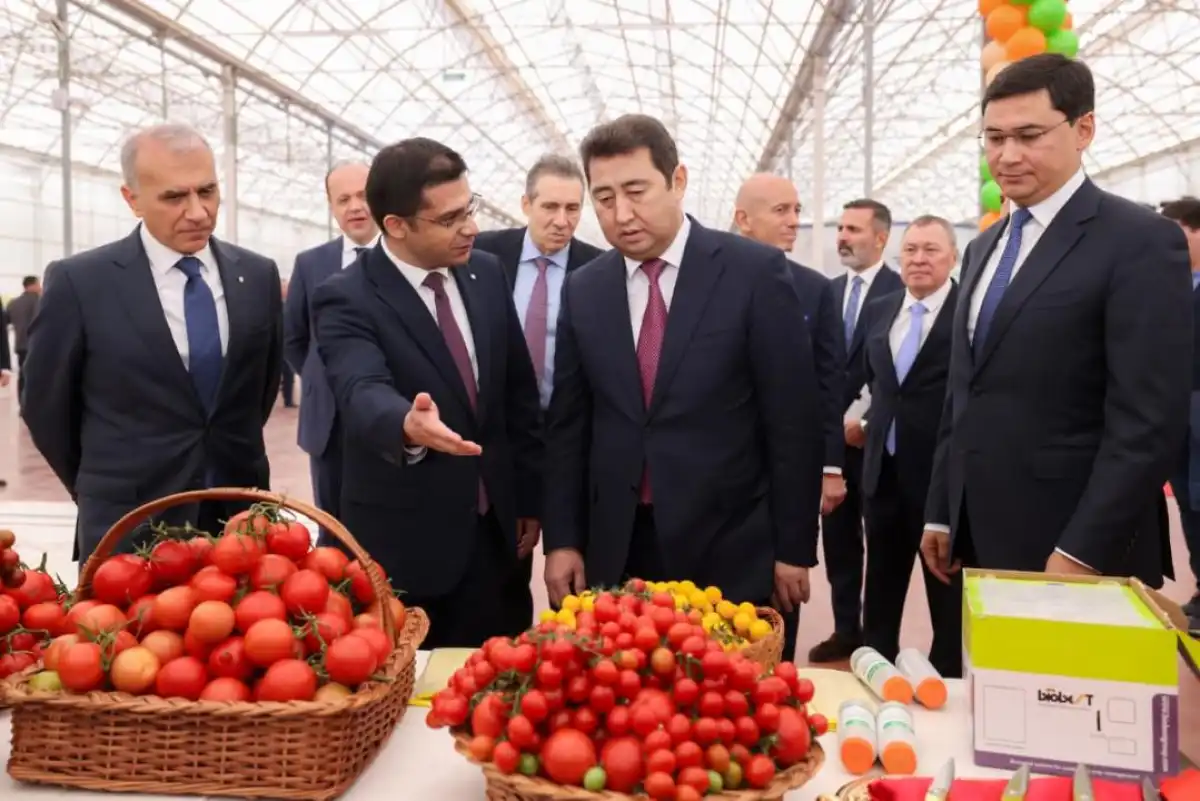 Новая теплица в Шымкенте обеспечит производство 155 тысяч тонн томатов ежегодно