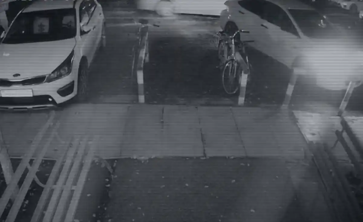 Каждая деталь помогла выйти на убийц Легкодимовой