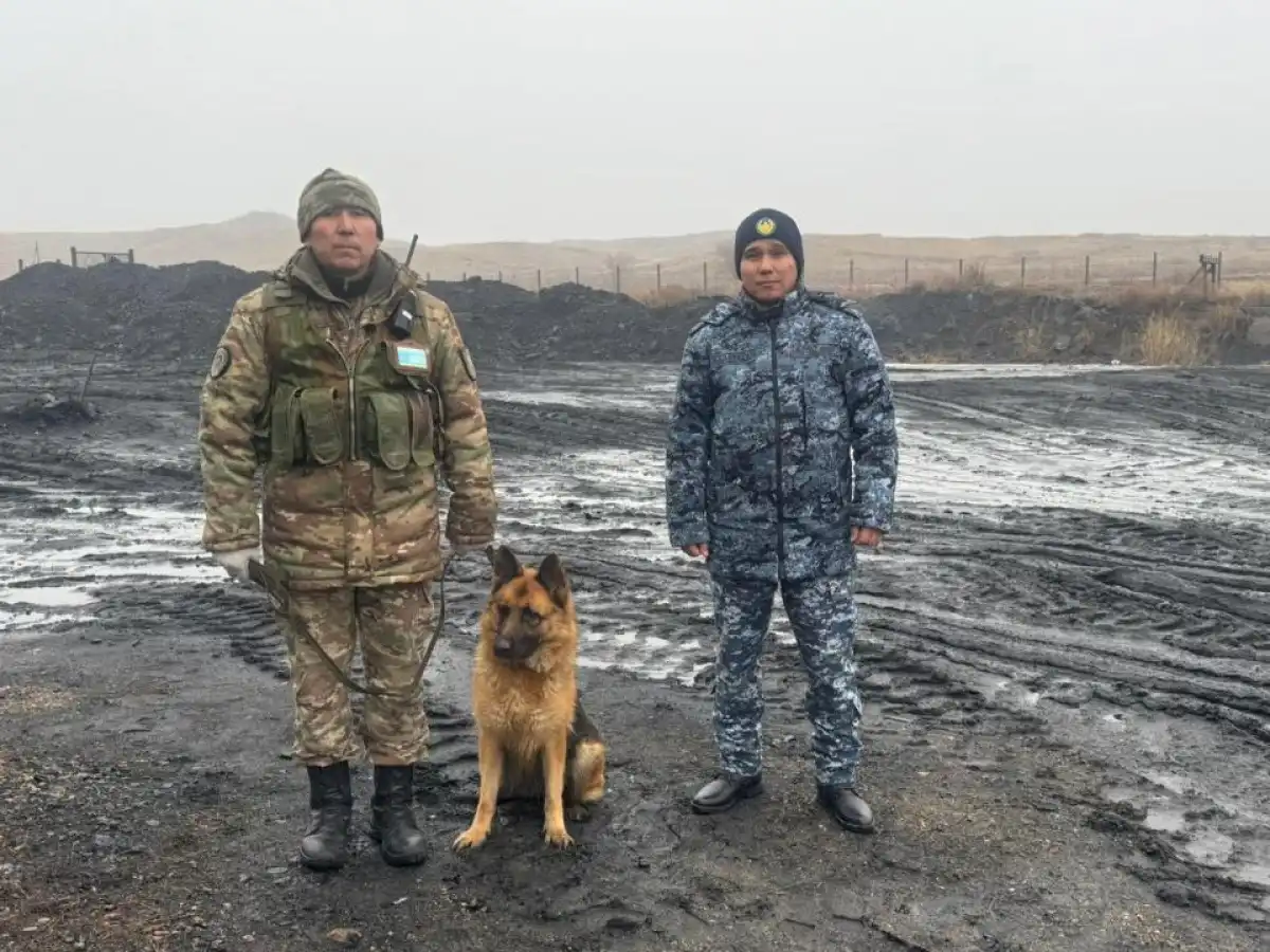 Телефоны в колонию пытались пронести в куче угля
