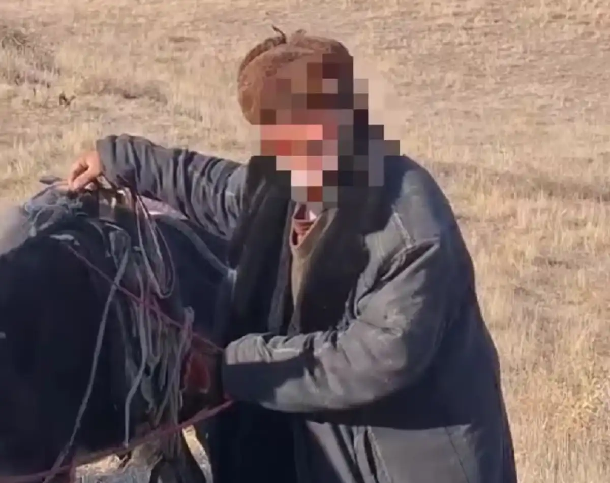 Пастух с 700 овцами заблудился в песках в Жамбылской области