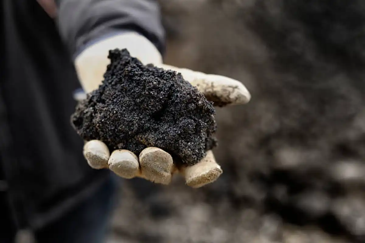 16 земельных участков стоимостью свыше 625 млн тенге возвращены государству