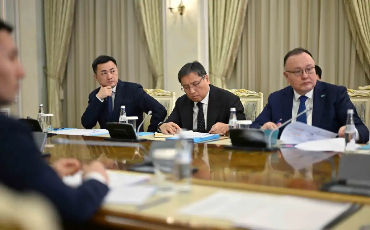 Президент раскритиковал профильные министерства за затягивание решения проблем отрасли